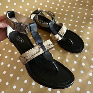 COACH Sandals T Stap Snakeskin Wedge w Buckle Sexy Beachy Shoes Size 8B